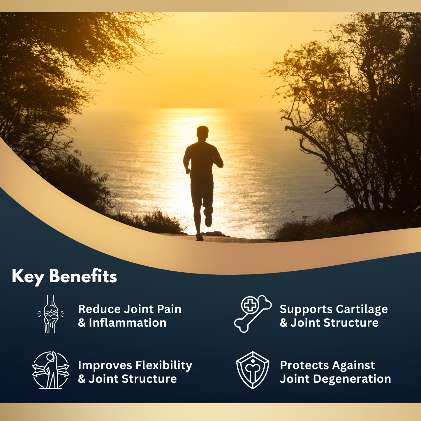 NOURIFY Joint Support