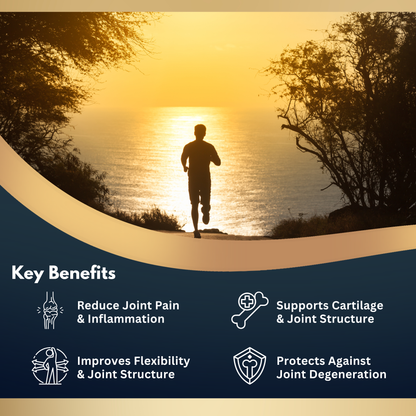 NOURIFY Joint Support
