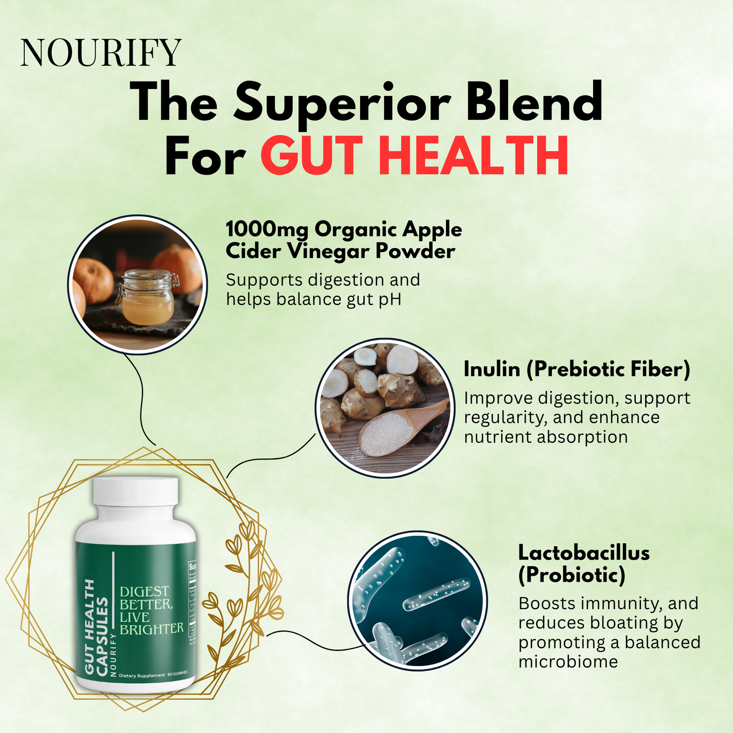 NOURIFY Gut Health